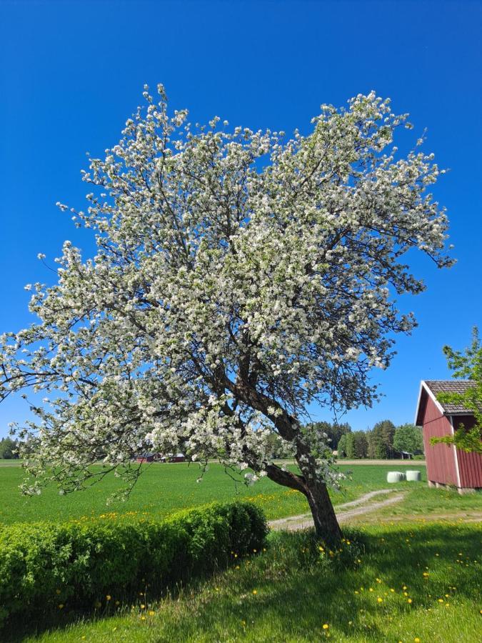 Levomaeki Farm Cottages Ypaja Exterior photo