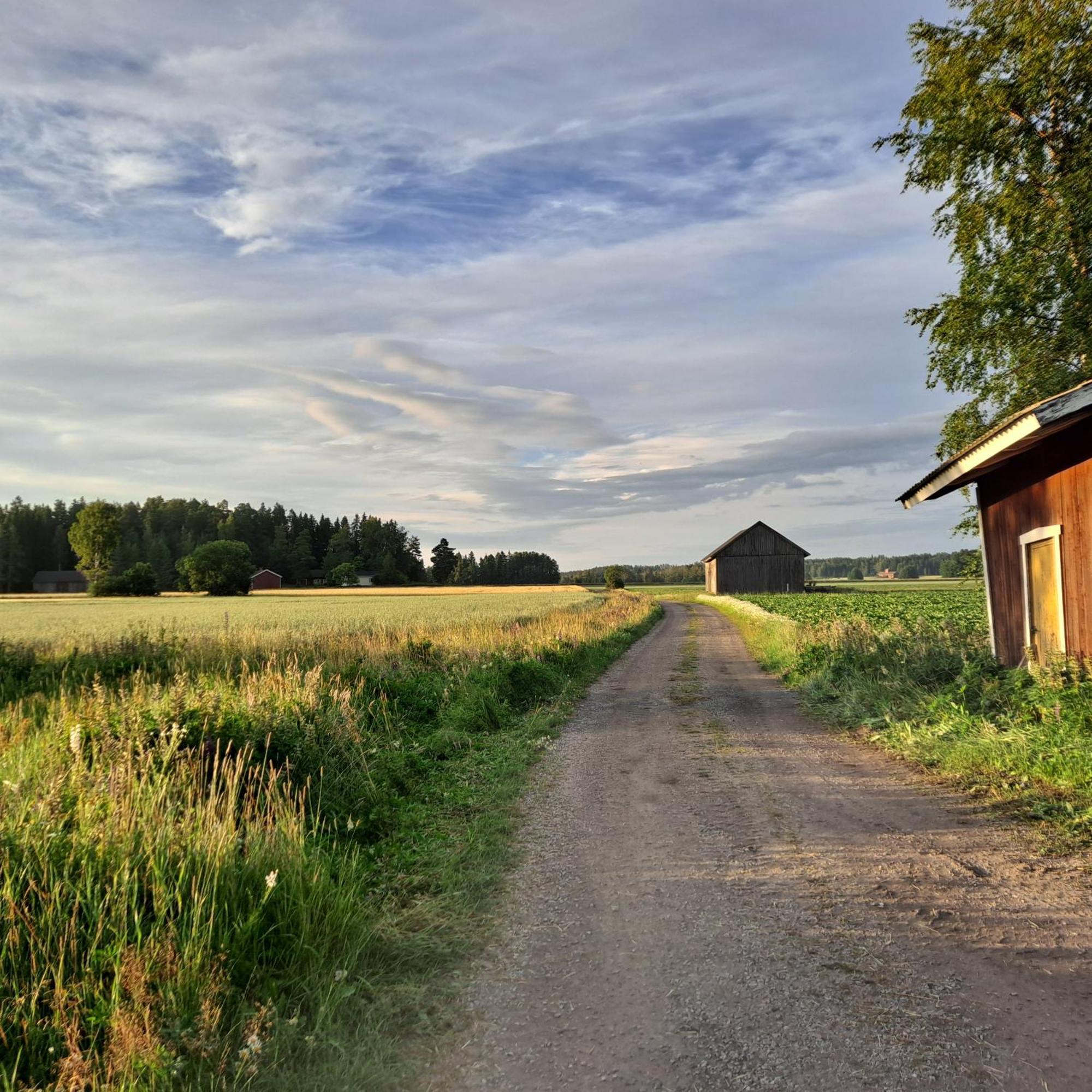Levomaeki Farm Cottages Ypaja Exterior photo